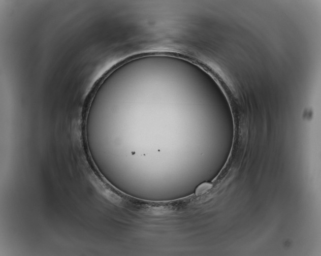 X0000100191460200806061247