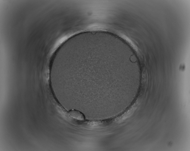 X0000100191461200806061247
