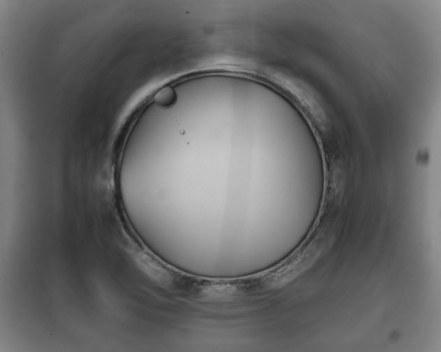 X0000100191462200806061247