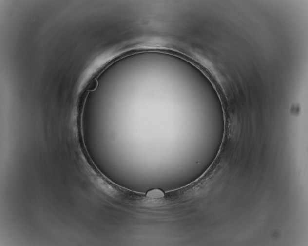 X0000100191464200806061247