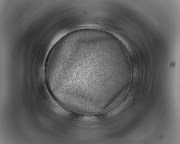 X0000100191466200806061247