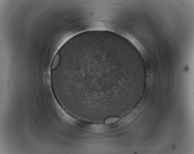 X0000100191468200806061247