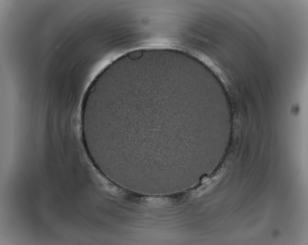 X0000100191469200806061247