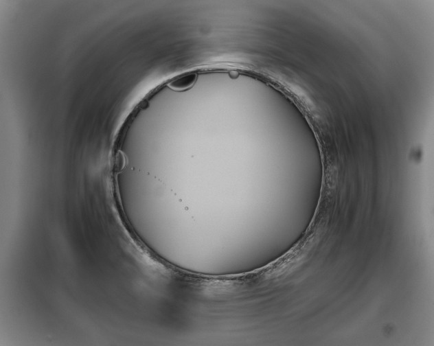 X0000100191470200806061247