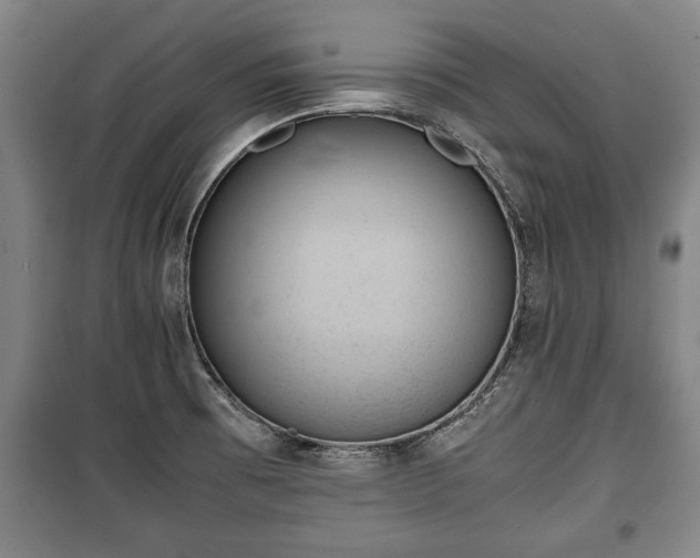 X0000100191473200806061247
