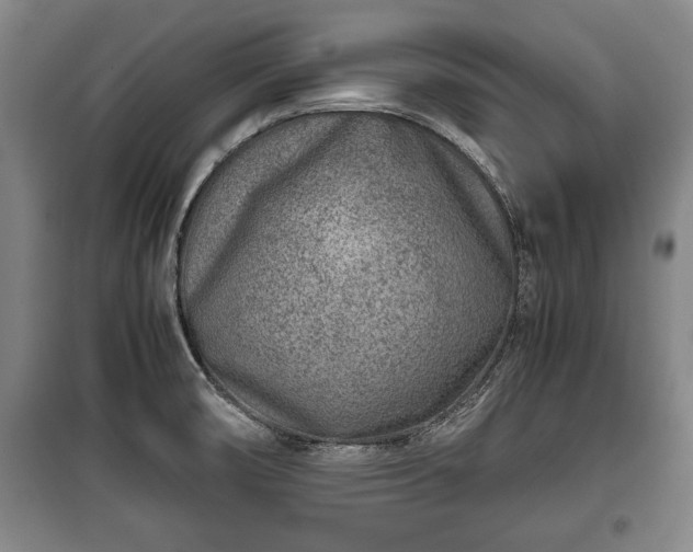 X0000100191474200806061247