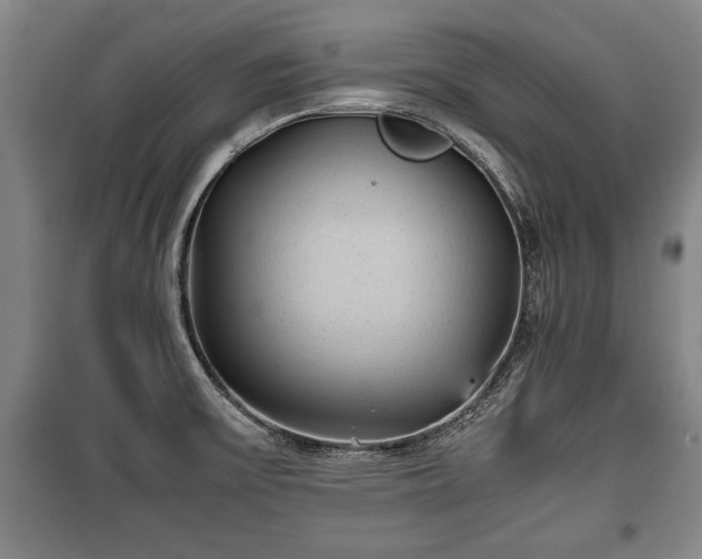 X0000100191475200806061247