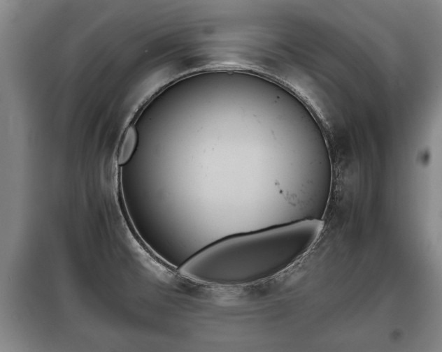 X0000100191476200806061247