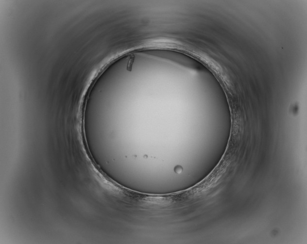 X0000100191478200806061247
