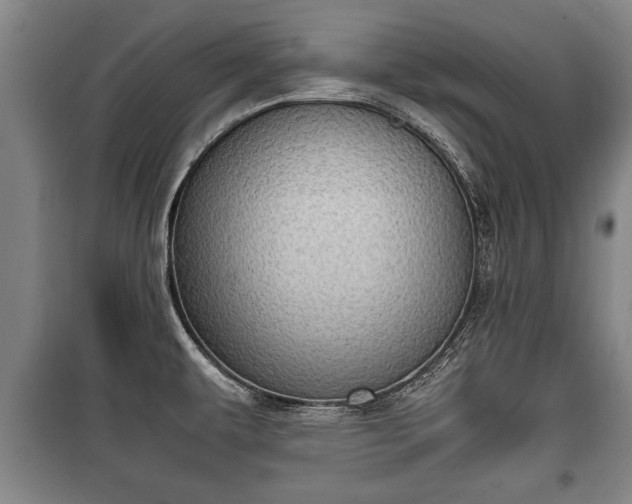 X0000100191479200806061247