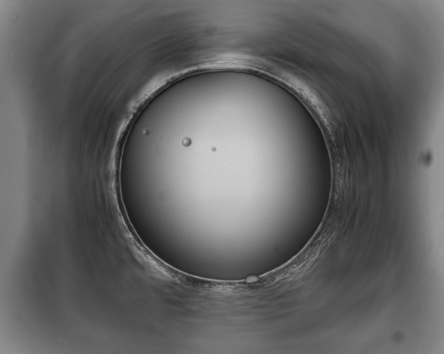 X0000100191480200806061247
