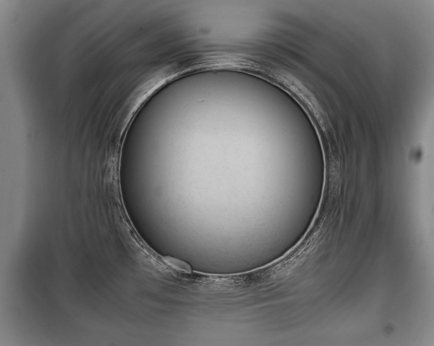X0000100191481200806061247