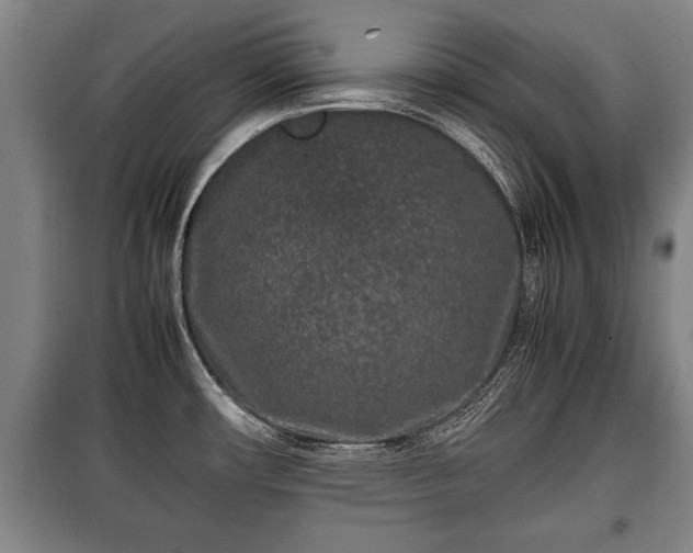 X0000100191482200806061247