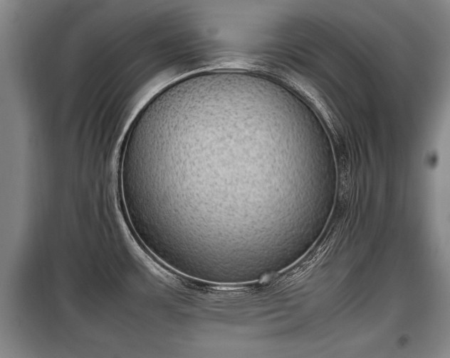 X0000100191483200806061247