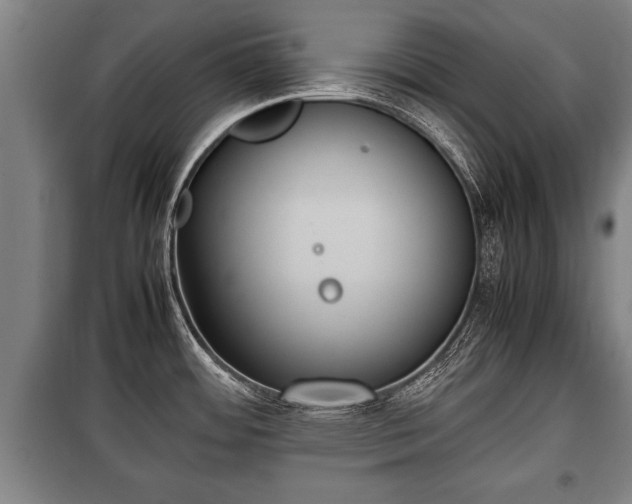 X0000100191484200806061247