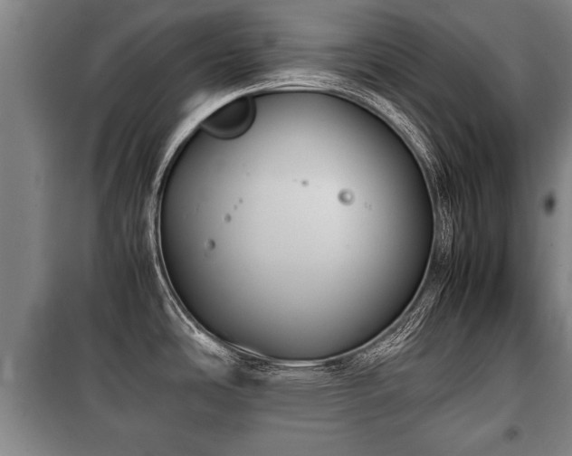 X0000100191486200806061247
