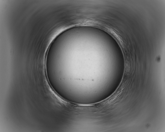 X0000100191487200806061247