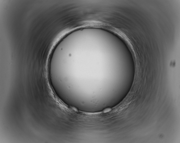X0000100191488200806061247