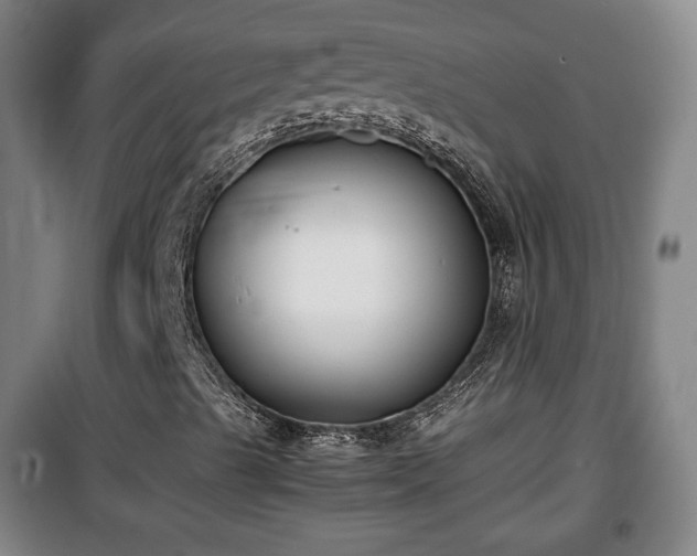 X0000100191489200806061246
