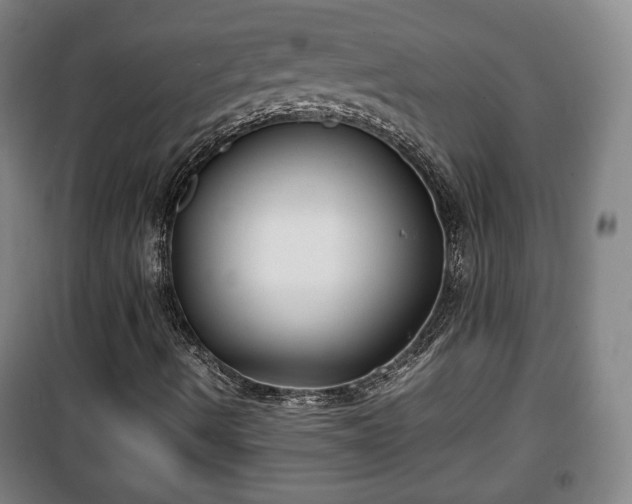 X0000100191490200806061246