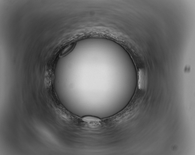 X0000100191491200806061246