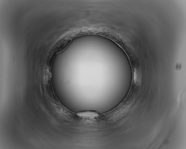 X0000100191492200806061246