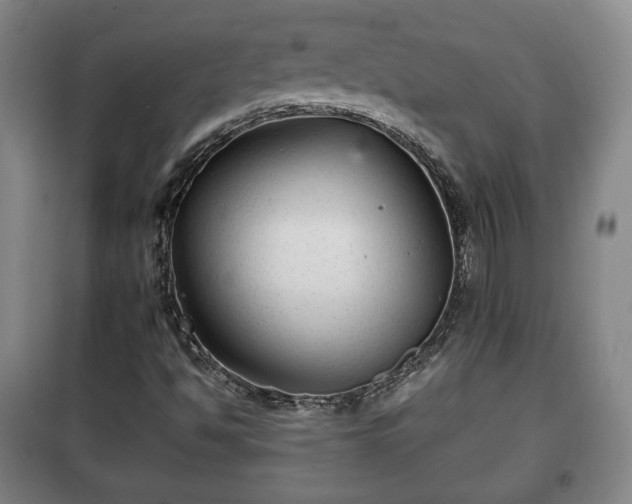 X0000100191494200806061246