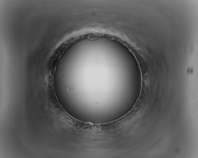 X0000100191495200806061246