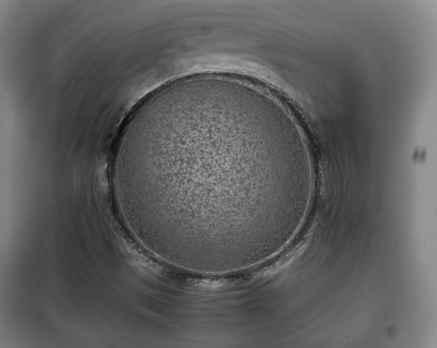 X0000100191497200806061246