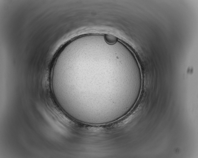 X0000100191498200806061246