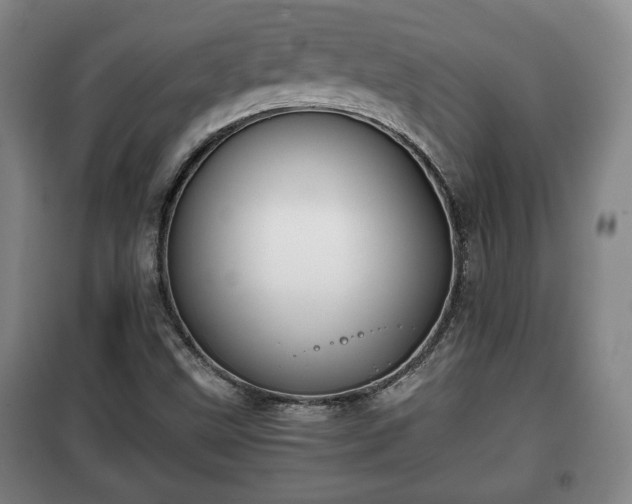 X0000100191499200806061246