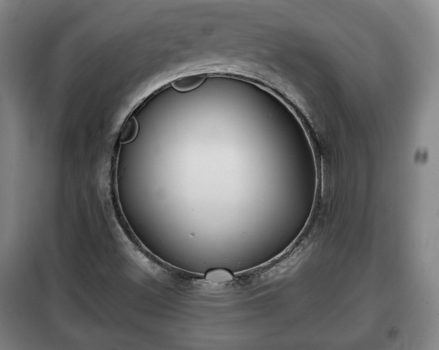 X0000100191500200806061246
