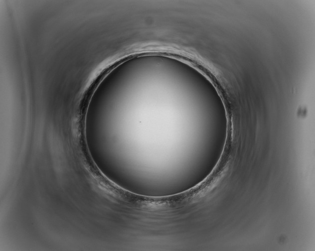 X0000100191501200806061246