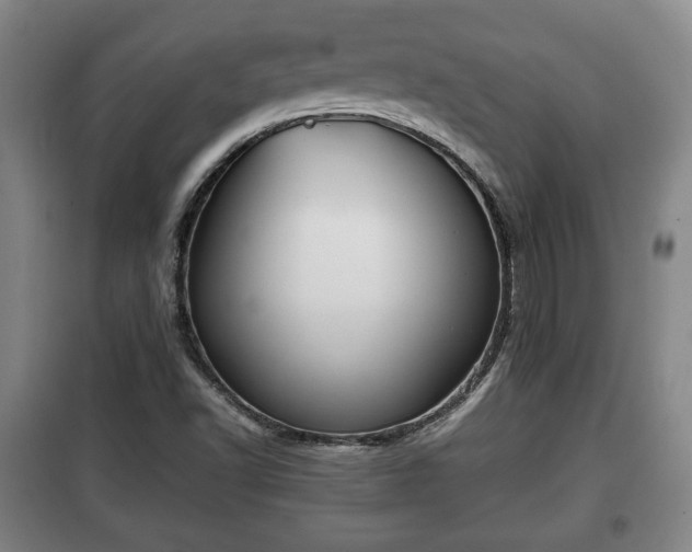 X0000100191502200806061246