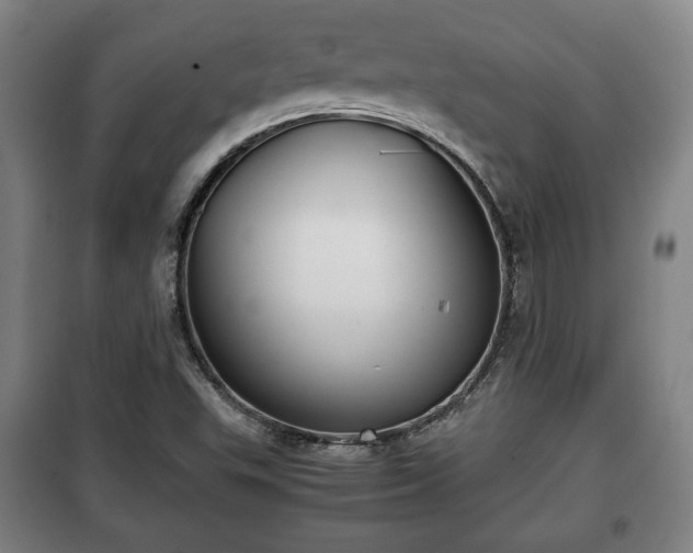 X0000100191503200806061246