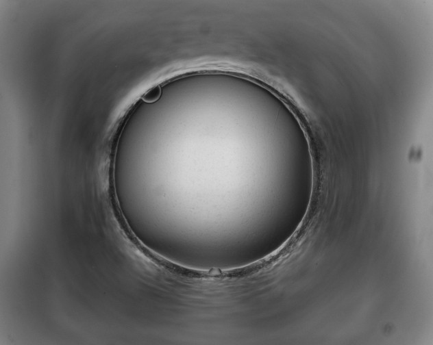 X0000100191504200806061246