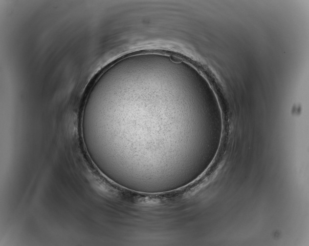 X0000100191505200806061246