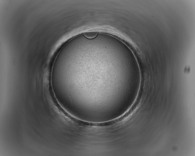 X0000100191506200806061246