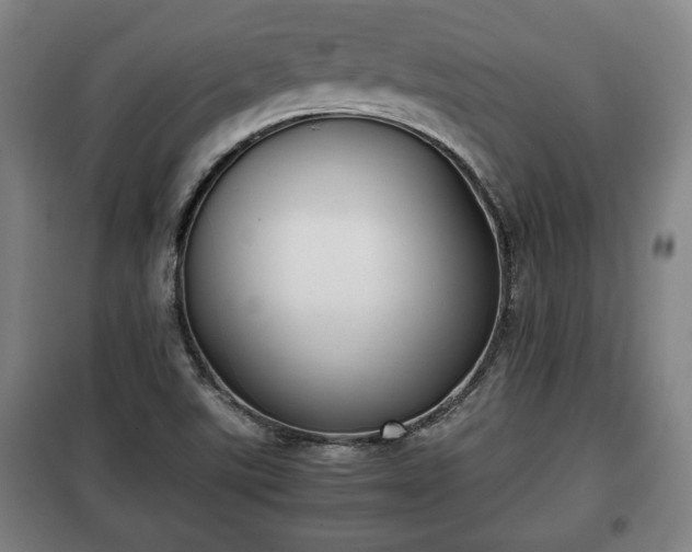 X0000100191507200806061246