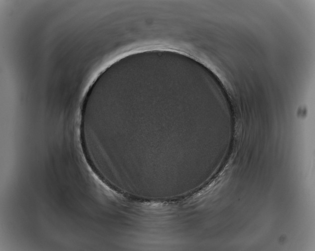 X0000100191508200806061246