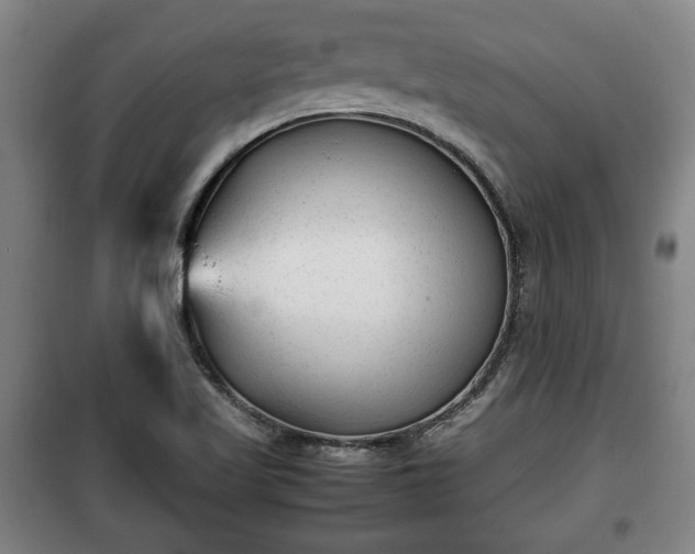 X0000100191509200806061246