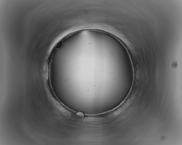 X0000100191510200806061246
