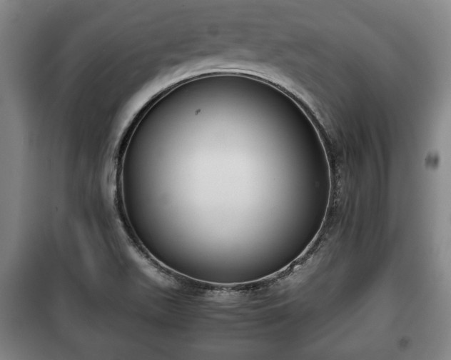 X0000100191511200806061246