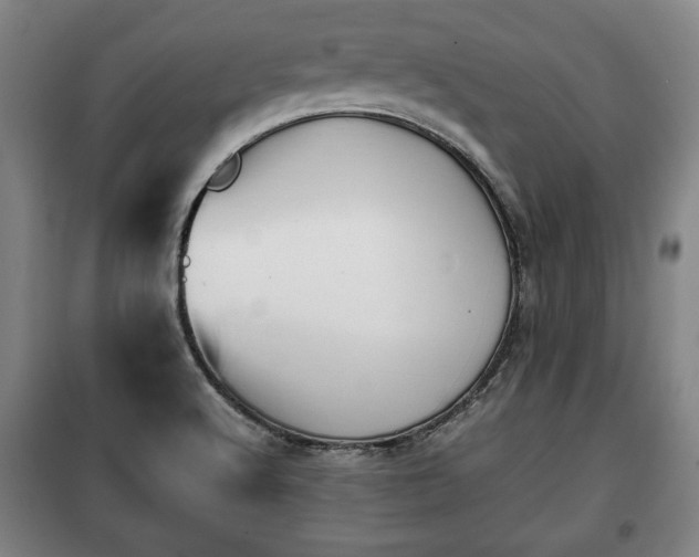 X0000100191512200806061246