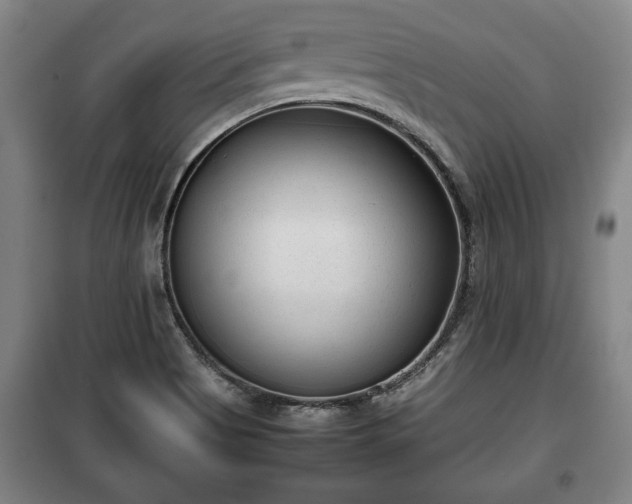 X0000100191513200806061246