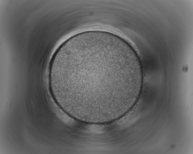 X0000100191514200806061246