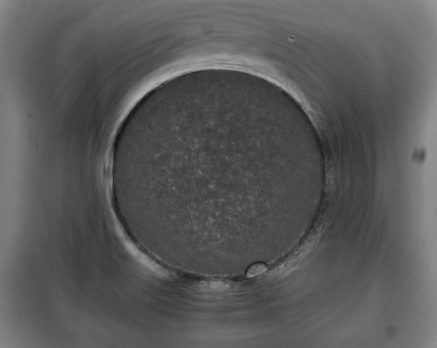 X0000100191515200806061246