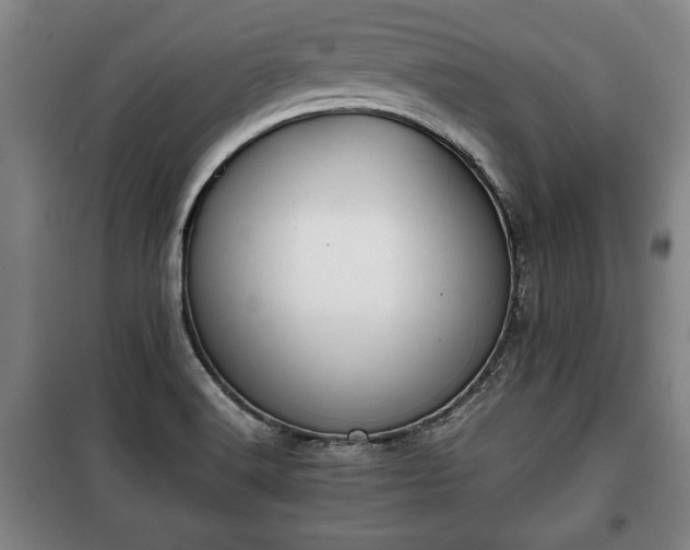 X0000100191516200806061246