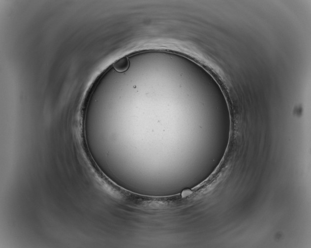 X0000100191517200806061246