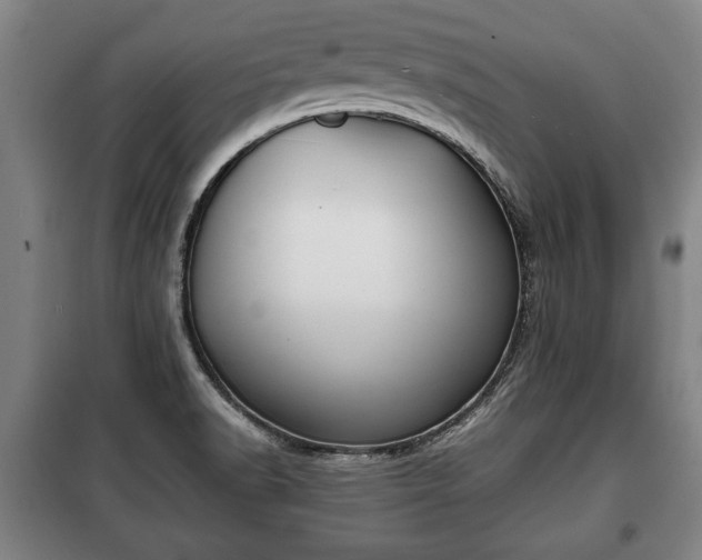 X0000100191518200806061246